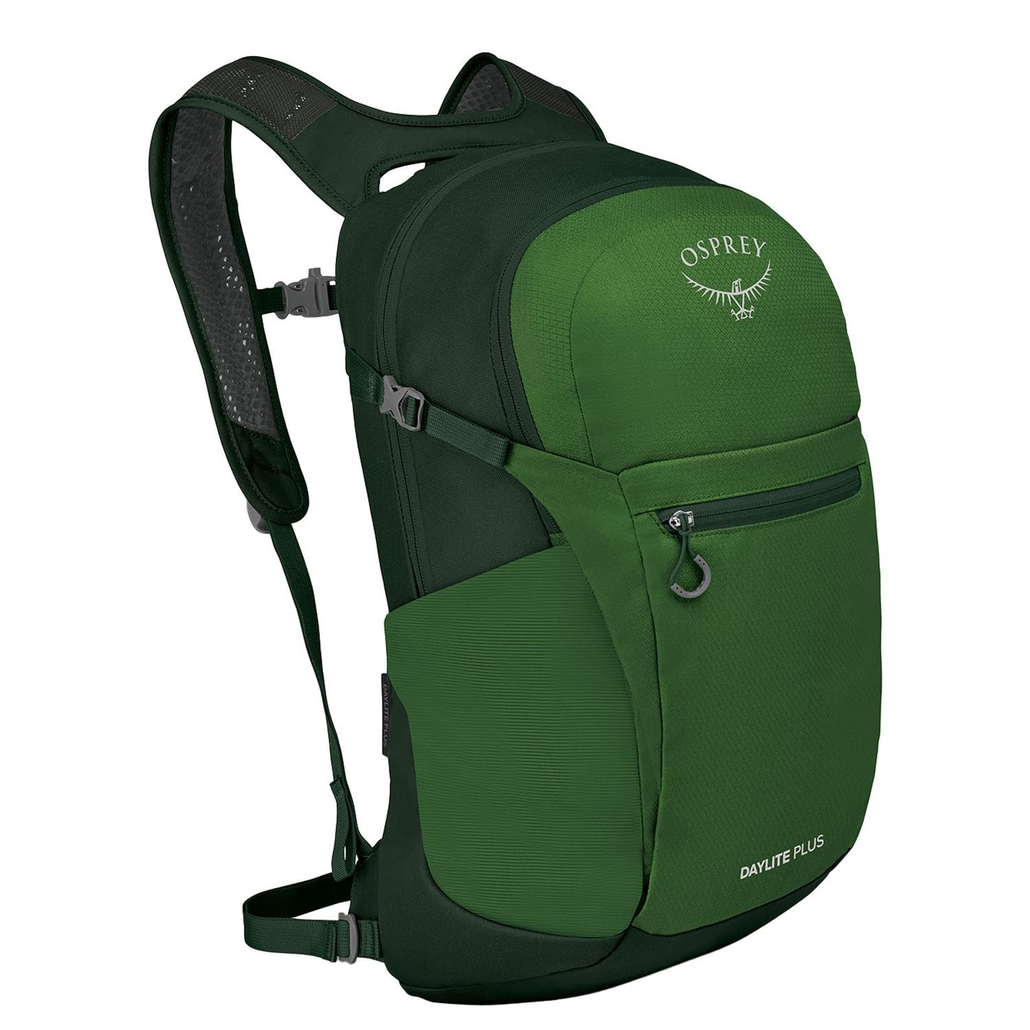Osprey Daylite Plus green belt/green canopy rugzak