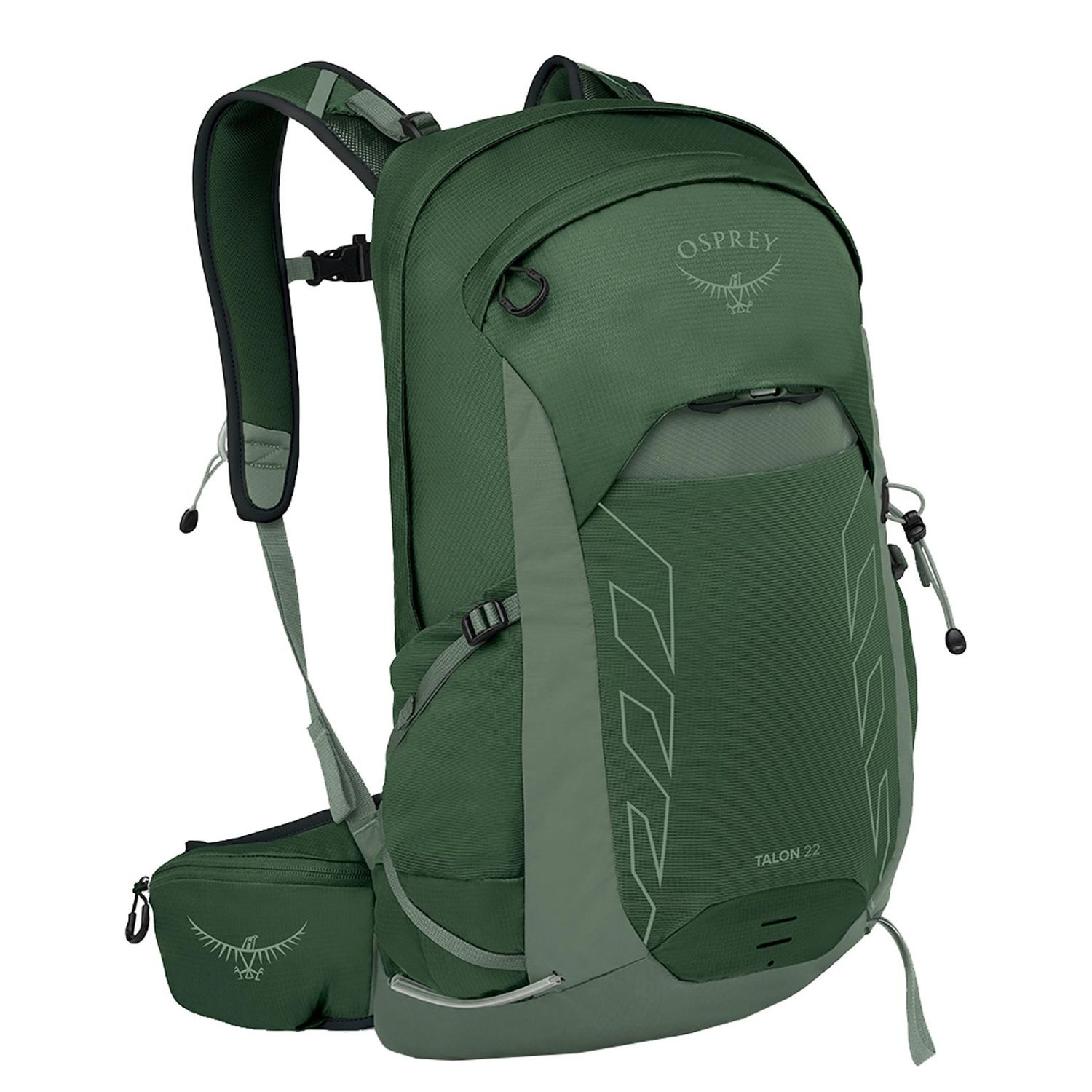 Osprey Talon 22 green canopy-pine leaf rugzak